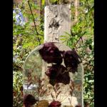 قوالب لحفظ الورد الطبيعي بعد التجفيف